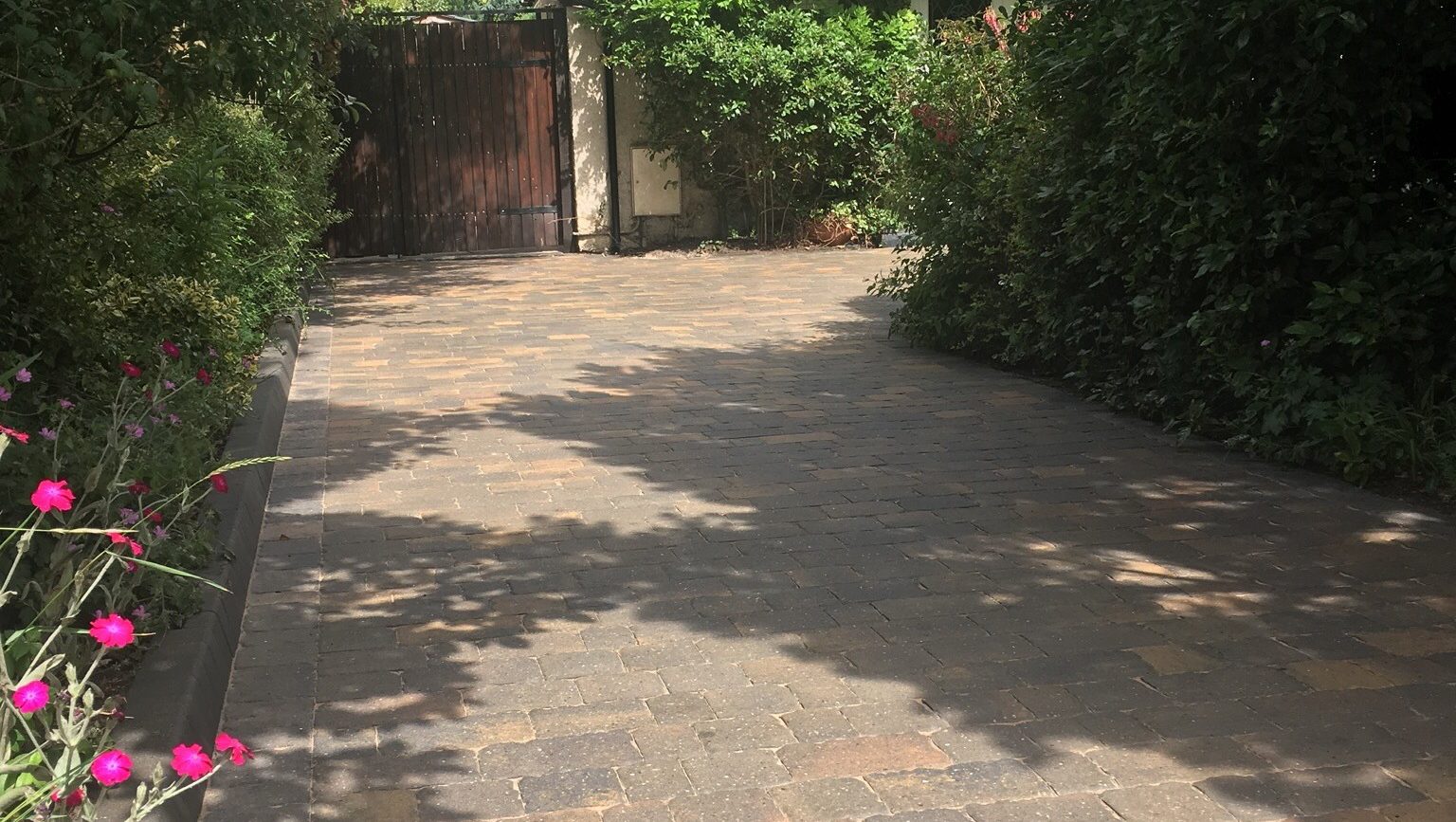 Paver Drive Cleaning
